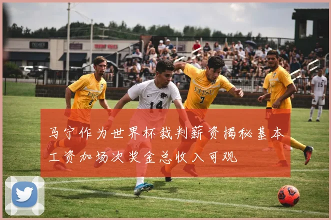马宁作为世界杯裁判薪资揭秘基本工资加场次奖金总收入可观