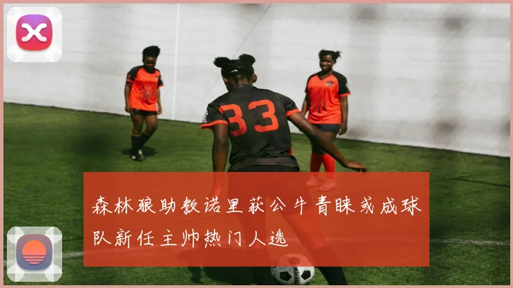 森林狼助教诺里获公牛青睐或成球队新任主帅热门人选